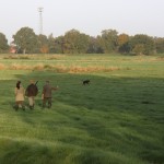 Suche im Feld