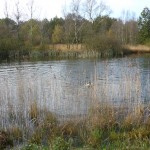 P1040924